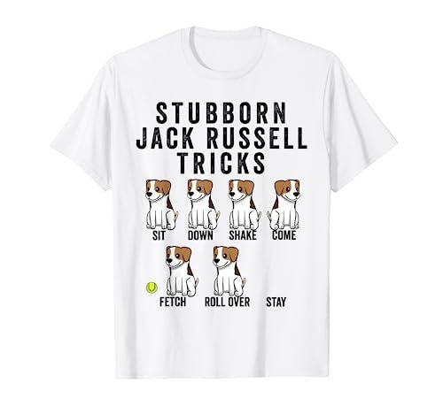 Stubborn jack russell terrier - russell,