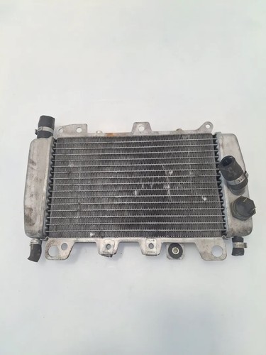 Radiatore piaggio beverly - beverly, (e1)