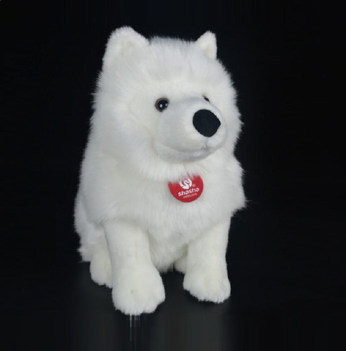Nuovo cane samoiedo - cane,