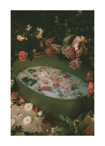 Poster vasca fiori stampa - poster,