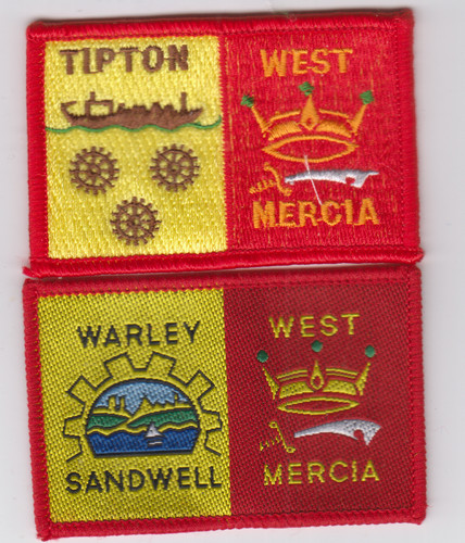 Boy scout double badges ext - boy,