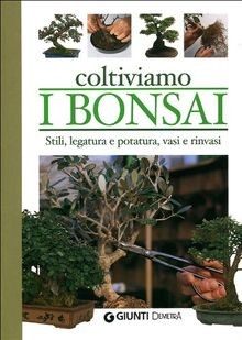 Coltiviamo bonsai pollice - bonsai, (pollice