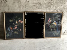 Coppia Quadri Con Uccelli