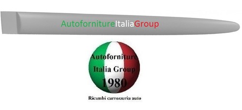 Modanatura porta posteriore - porta,