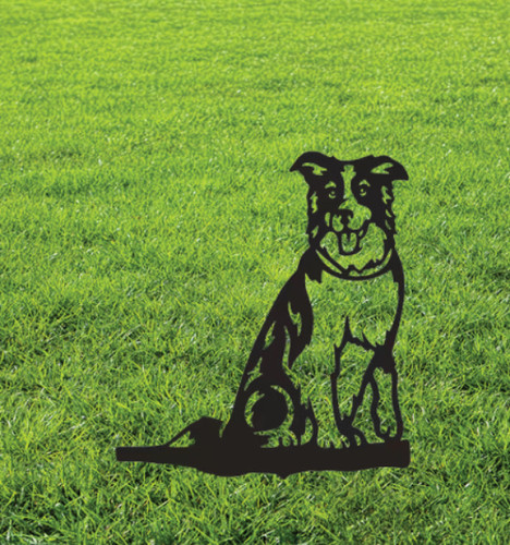 Border collie palo giardino - border,