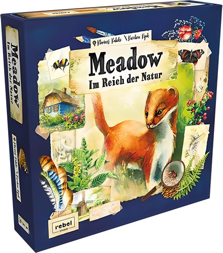 Meadow nel regno della natura - regno,