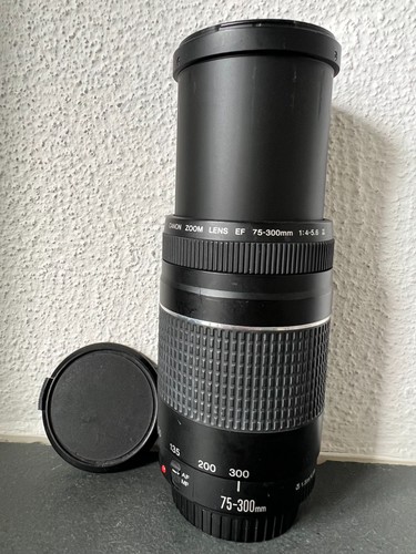 Canon 300 4 - ef, f/4.0-5.6