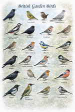Poster Stampa Arte Parete