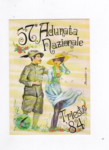 Cartolina adunata nazionale - cartolina,