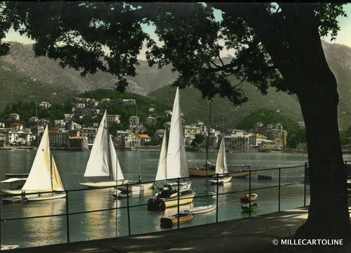 Rapallo vele in porto - vele,
