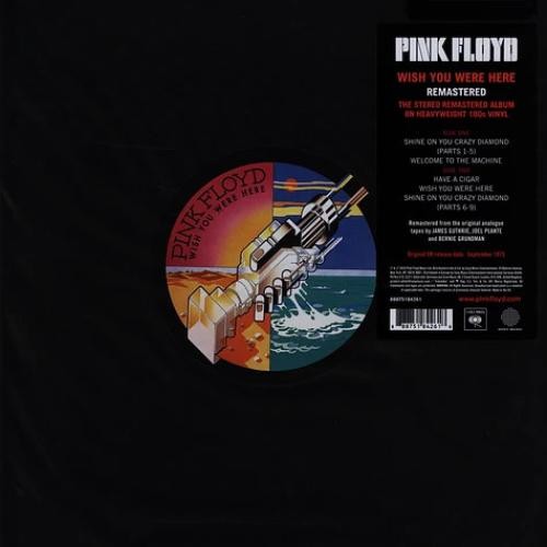 Pink floyd wish you - floyd, were