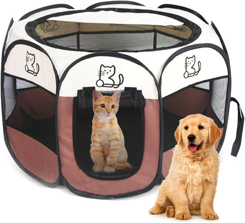 Recinto cani interno - recinto,