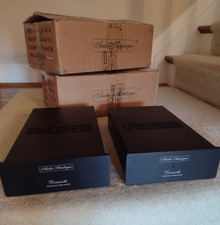 Coppia 2 Amplificatori Audio