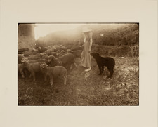 David Hamilton  Tirage