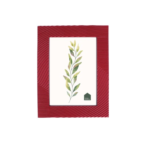 Rituali domestici - domestici,