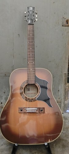 Chitarra acustica ros dakota - e-ros,