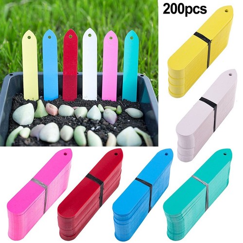 Pianta etichetta 200pcs - etichetta,
