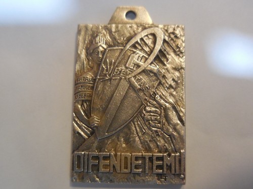 Medaglia votazioni politiche - medaglia,