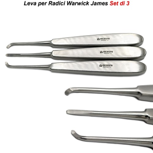 Leve radici warwick james - leve,