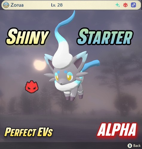 Zorua starter alpha - starter, shiny