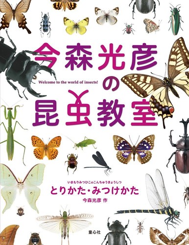 Classe insetti mitsuhiko - insetti,