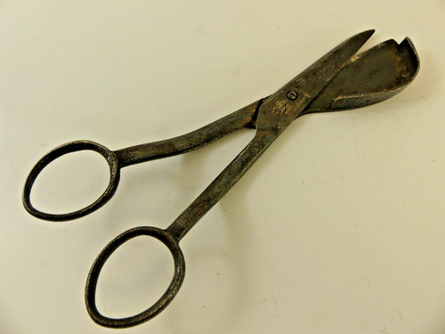Forbici taglierine - (refjoh8b),