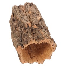  Rettili Nascondono Corteccia