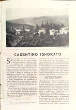 CASENTINO IGNORATO (estratto
