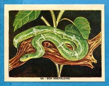 NATURAMA - Lampo 1968 - Figurina-Sticker n. 156 - BOA SMERALDINO -Rec