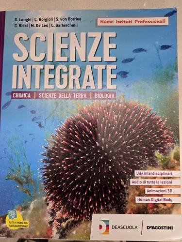 Libro scuola superiore - libro,