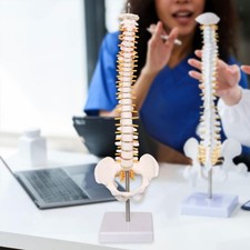 Modello della colonna