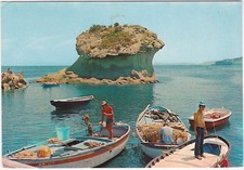 LACCO AMENO - ISCHIA - NAPOLI - IL FUNGO -99154-