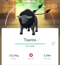 Pokemon Tauros de Paldea