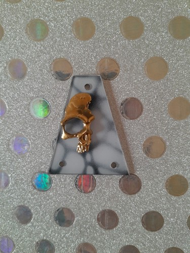 Truss rod cover for jackson - truss,