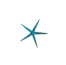 Charm stella marina opale blu