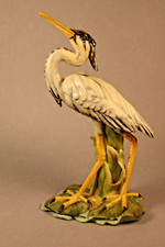 CAPODIMONTE - AIRONE CENERINO