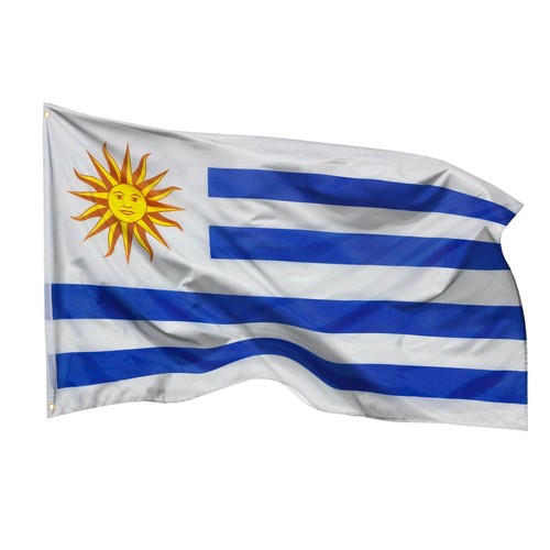 Bandiera uruguay - bandiera,