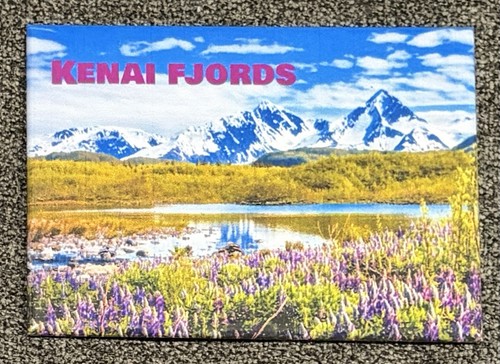 Calamita frigo rigida - , kenai