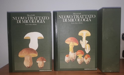 Mario galli nuovo trattato - nuovo, di