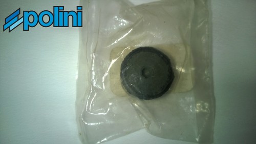 Polini evo minarelli - polini,