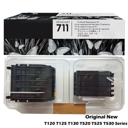 Kit testina c1q10a - c1q10a, 711