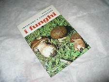 BRUNO CETTO IMPARIAMO A