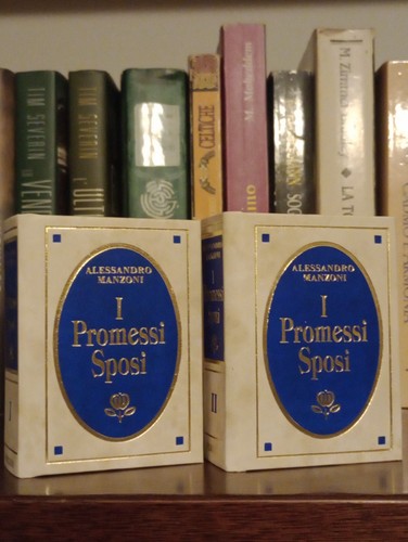 Mini biblioteca peruzzo - peruzzo,