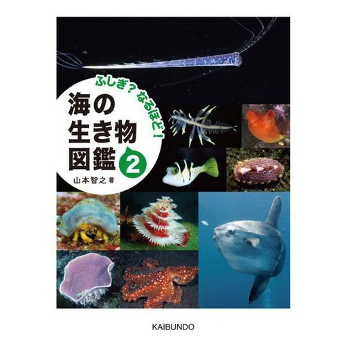 Mysterious see illustrated - mysterious, i