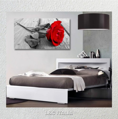 Rosa quadro moderno vintage - moderno,