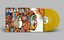 LIGABUE – DEDICATO A NOI –