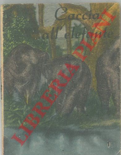 Libri minuscoli caccia - libri,