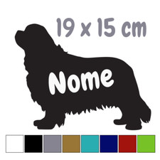 Cavalier king charles spaniel - cavalier,