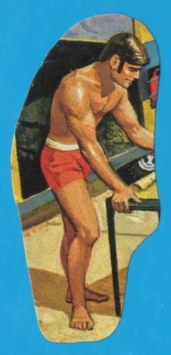 Figurina panini big jim - big,