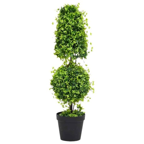 Vidaxl pianta bosso - vidaxl,